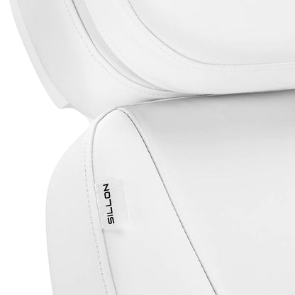 Fauteuil électrique SILLON Luxury 3 moteurs